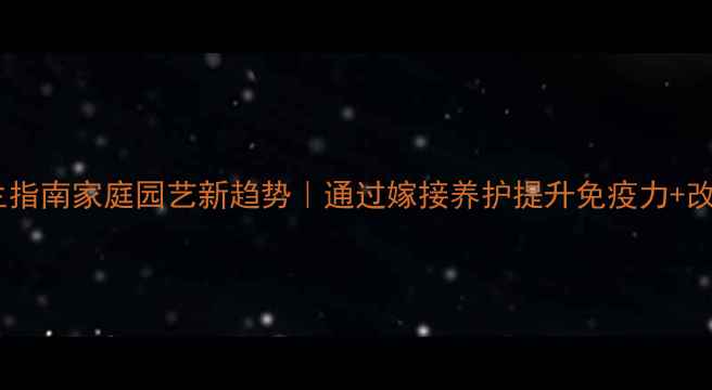 仙人球嫁接养生指南家庭园艺新趋势通过嫁接养护提升免疫力改善睡眠的秘诀