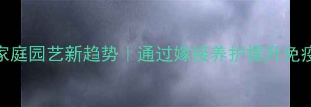 图片 🌵仙人球嫁接养生指南家庭园艺新趋势｜通过嫁接养护提升免疫力+改善睡眠的秘诀！2