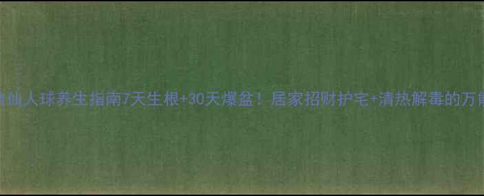 水培仙人球养生指南7天生根30天爆盆居家招财护宅清热解毒的万能多肉