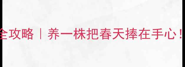 图片 🌸四季栀子花养殖全攻略｜养一株把春天捧在手心！花香养心更养颜🌸