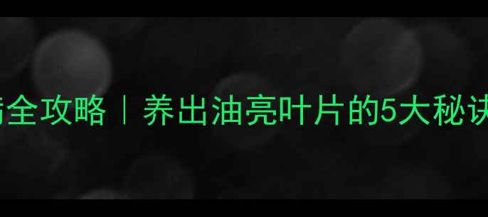 月季黑斑病全攻略养出油亮叶片的5大秘诀有机防治法