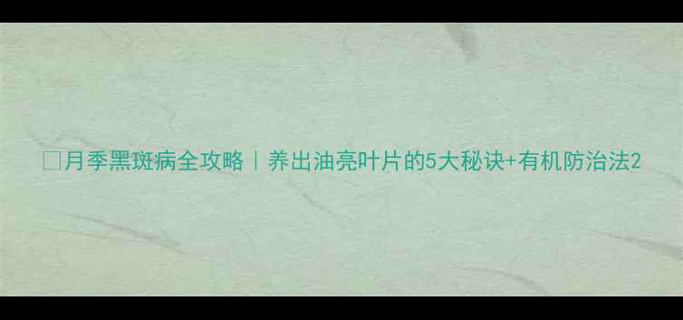 图片 🌸月季黑斑病全攻略｜养出油亮叶片的5大秘诀+有机防治法2