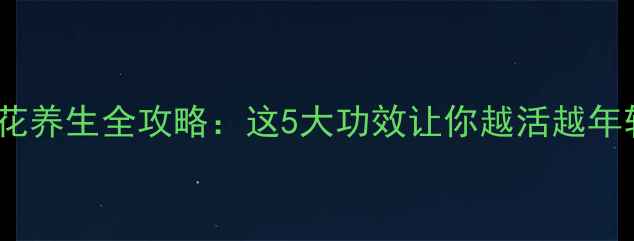 梅花养生全攻略这5大功效让你越活越年轻