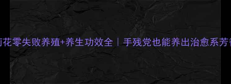 图片 🌸茉莉花零失败养殖+养生功效全｜手残党也能养出治愈系芳香花园