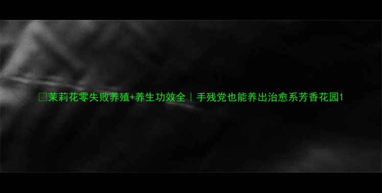 茉莉花零失败养殖养生功效全手残党也能养出治愈系芳香花园