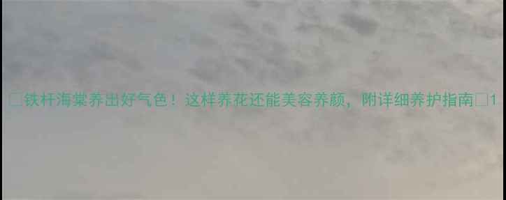 铁杆海棠养出好气色这样养花还能美容养颜附详细养护指南