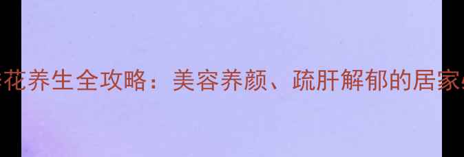 图片 🌹月季花养生全攻略：美容养颜、疏肝解郁的居家必备🌹