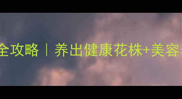 图片 🌹盆栽玫瑰修剪全攻略｜养出健康花株+美容养颜双效养生术2