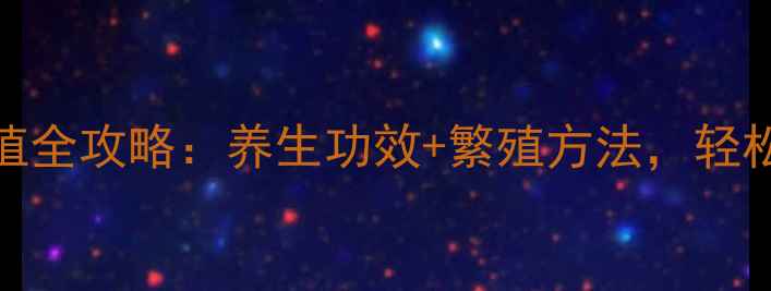 朱顶红家庭种植全攻略养生功效繁殖方法轻松养出健康花球
