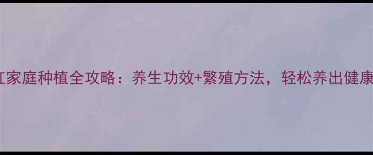 图片 🌺朱顶红家庭种植全攻略：养生功效+繁殖方法，轻松养出健康花球！1
