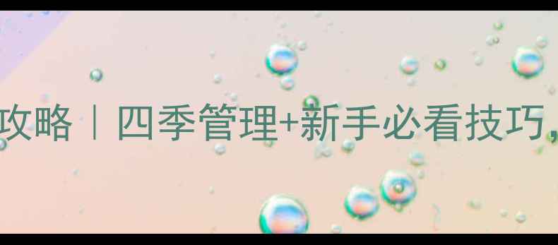 虎刺梅家庭养护全攻略四季管理新手必看技巧养出爆盆花墙