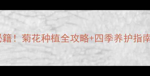 图片 🌼在家轻松种出养生秘籍！菊花种植全攻略+四季养护指南（附新手避坑清单）1