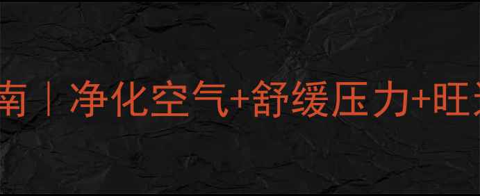 50种居家花卉养生指南净化空气舒缓压力旺运招财附养护秘籍
