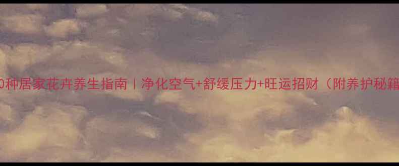 图片 🌿50种居家花卉养生指南｜净化空气+舒缓压力+旺运招财（附养护秘籍）2