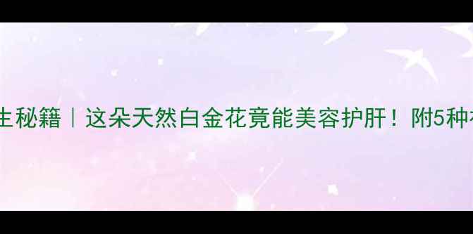 图片 🌿丝瓜花养生秘籍｜这朵天然白金花竟能美容护肝！附5种神仙吃法🌿2