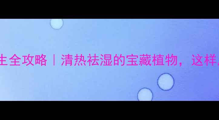 图片 🌿串叶松香草养生全攻略｜清热祛湿的宝藏植物，这样用效果翻倍！🌿1