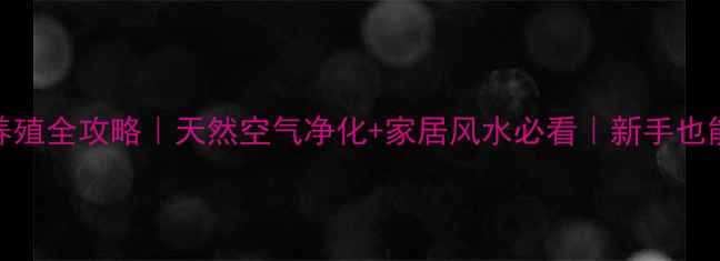 五福临门花养殖全攻略天然空气净化家居风水必看新手也能养爆盆的秘诀
