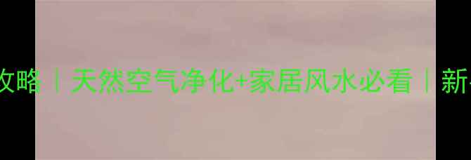 图片 🌿五福临门花养殖全攻略｜天然空气净化+家居风水必看｜新手也能养爆盆的秘诀2