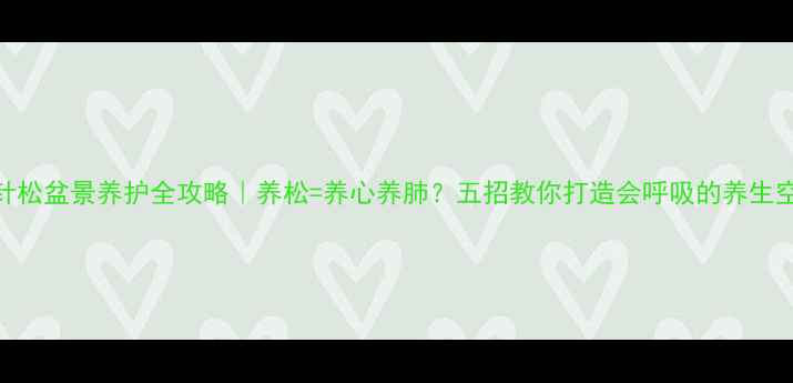 图片 🌿五针松盆景养护全攻略｜养松=养心养肺？五招教你打造会呼吸的养生空间🌿