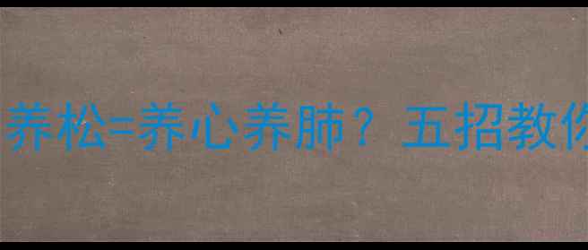 五针松盆景养护全攻略养松养心养肺五招教你打造会呼吸的养生空间