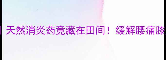 图片 🌿伸筋草的7大神奇功效｜天然消炎药竟藏在田间！缓解腰痛膝盖痛的土方子，收藏备用