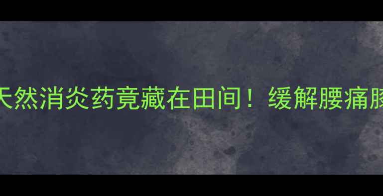图片 🌿伸筋草的7大神奇功效｜天然消炎药竟藏在田间！缓解腰痛膝盖痛的土方子，收藏备用1