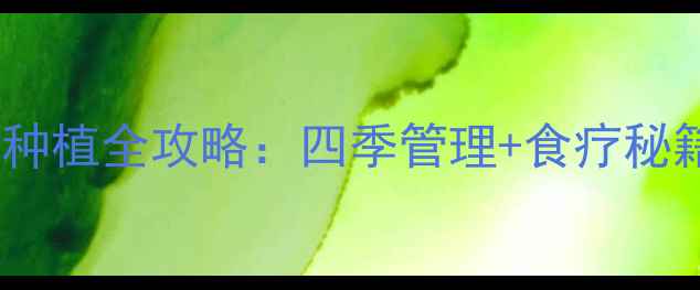 佛手瓜养生指南家庭种植全攻略四季管理食疗秘籍轻松收获健康好食材