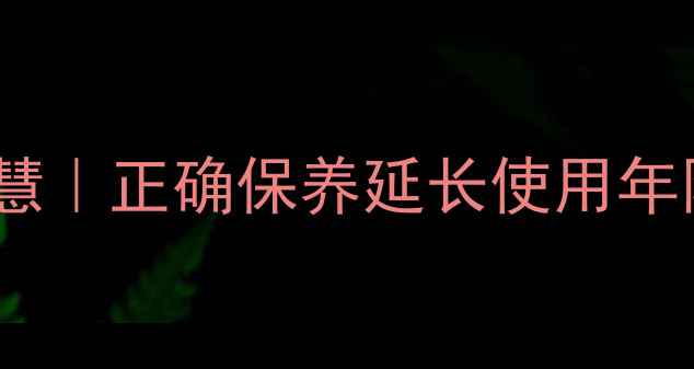 养护包包的养生智慧正确保养延长使用年限守护健康生活指南