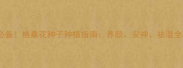 养生必备格桑花种子种植指南养颜安神祛湿全攻略