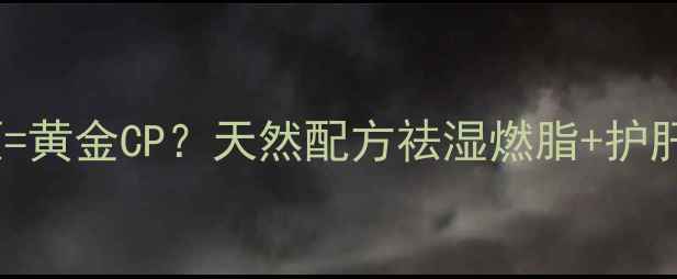 养生必备蒲公英玉米须黄金CP天然配方祛湿燃脂护肝降三高喝出轻盈好状态