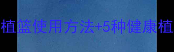 养生必备家庭园艺新趋势定植篮使用方法5种健康植物搭配指南让绿意滋养身心