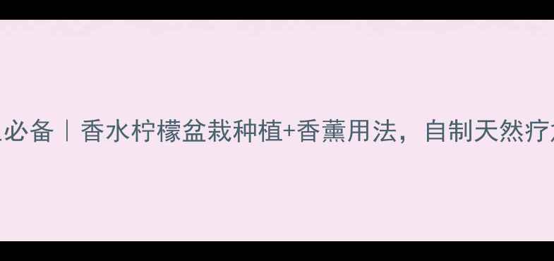 图片 🌿养生必备｜香水柠檬盆栽种植+香薰用法，自制天然疗愈室！