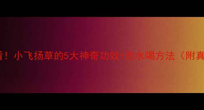 养生必看小飞扬草的5大神奇功效泡水喝方法附真人实测