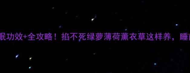养生花的5大助眠功效全攻略掐不死绿萝薄荷薰衣草这样养睡前喷水秒入梦乡