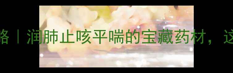 前胡养生全攻略润肺止咳平喘的宝藏药材这样用效果翻倍