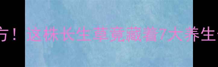 图片 🌿卷柏养生大中医千年秘方！这株长生草竟藏着7大养生奇效（附正确使用指南）1