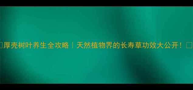 厚壳树叶养生全攻略天然植物界的长寿草功效大公开