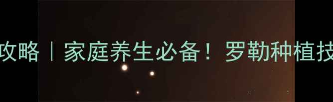 图片 🌿国王植物养殖全攻略｜家庭养生必备！罗勒种植技巧+功效（附图）1