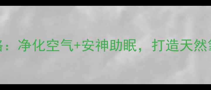 墨兰养殖全攻略净化空气安神助眠打造天然氧吧的5大秘诀