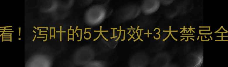 夏季养生必看泻叶的5大功效3大禁忌全亲测有效