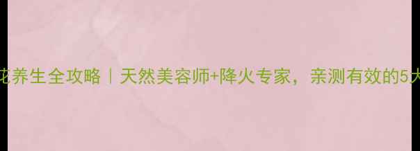 图片 🌿大黄菊花养生全攻略｜天然美容师+降火专家，亲测有效的5大功效！🌼