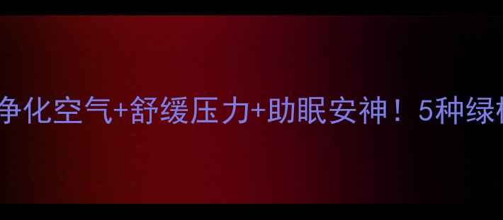 室内绿植养生指南净化空气舒缓压力助眠安神5种绿植让你家秒变天然氧吧