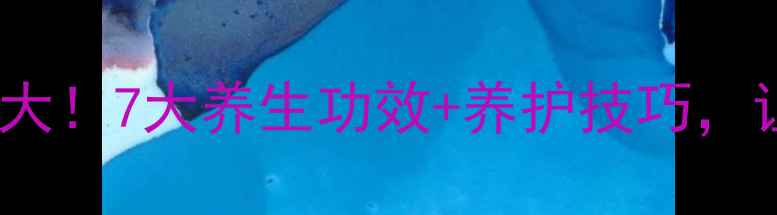 图片 🌿家养龙爪花功效大！7大养生功效+养护技巧，让健康与美同在🌿1