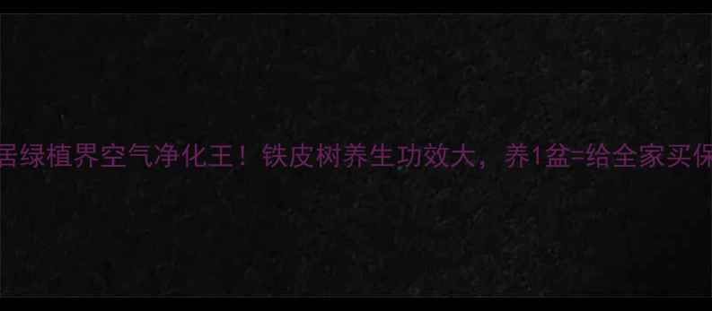 家居绿植界空气净化王铁皮树养生功效大养1盆给全家买保险