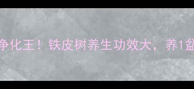 图片 🌿家居绿植界空气净化王！铁皮树养生功效大，养1盆=给全家买保险💡1