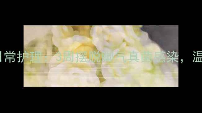 家庭偏方日常护理3周摆脱脚气真菌感染温和不伤皮肤