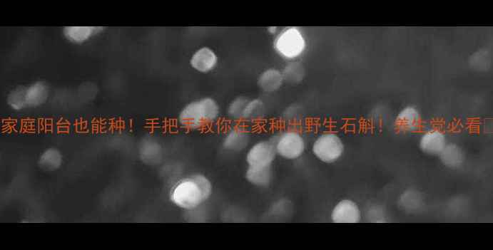 家庭阳台也能种手把手教你在家种出野生石斛养生党必看