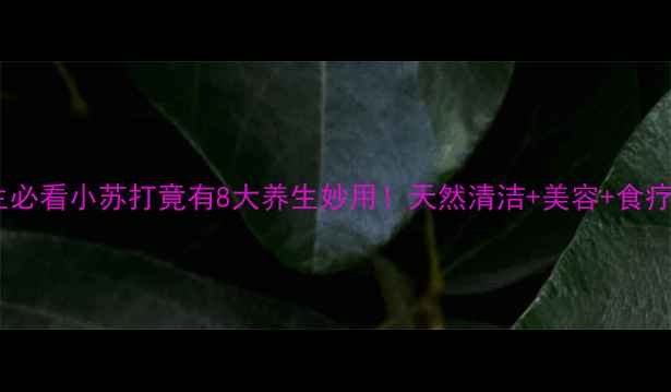 居家养生必看小苏打竟有8大养生妙用天然清洁美容食疗全攻略