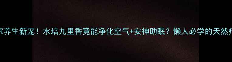 图片 🌿居家养生新宠！水培九里香竟能净化空气+安神助眠？懒人必学的天然疗法🌱