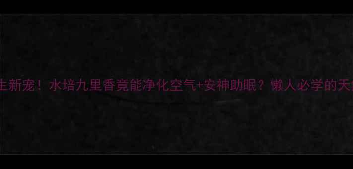 居家养生新宠水培九里香竟能净化空气安神助眠懒人必学的天然疗法
